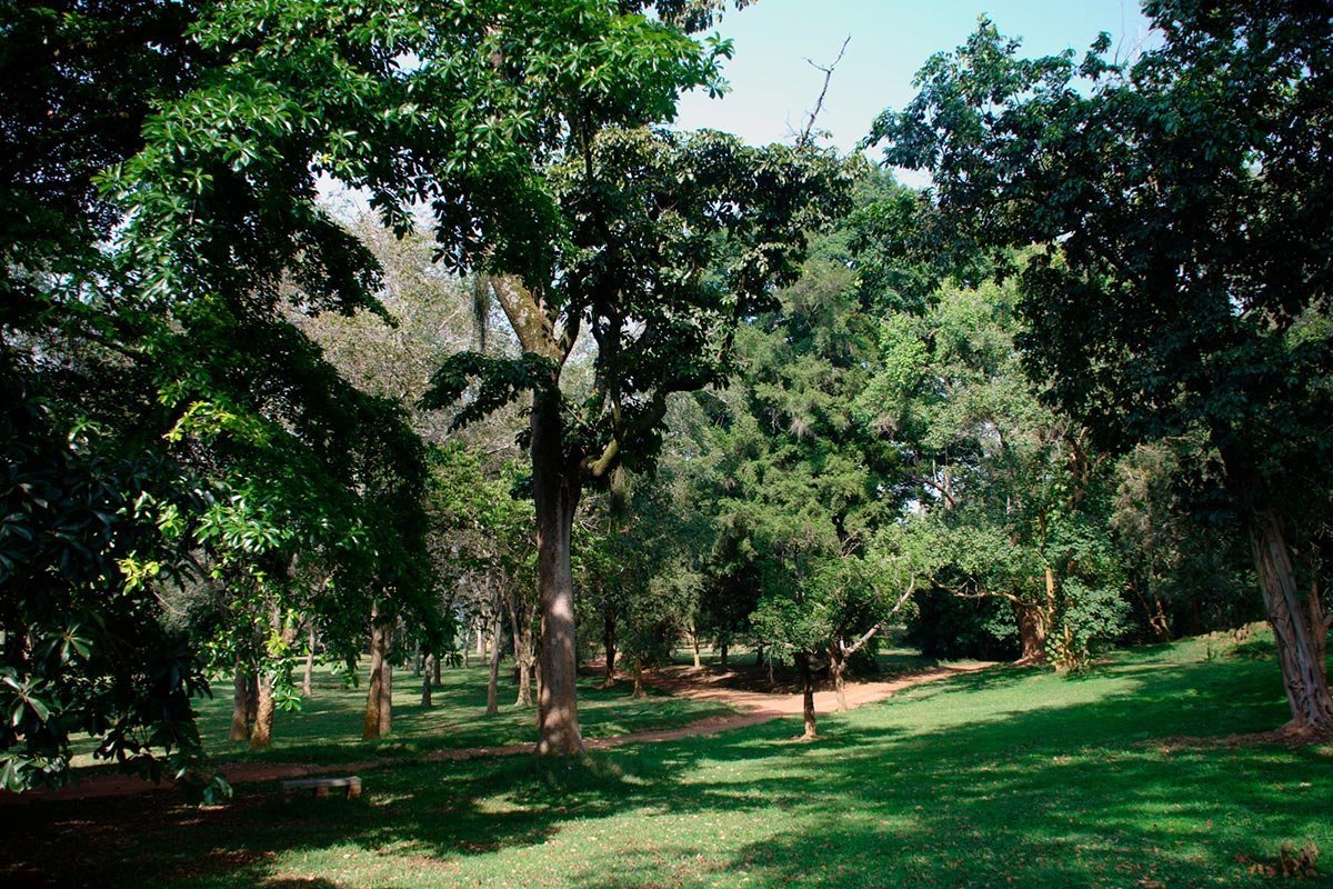 Entebbe Botanical Gardens