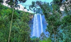 Sipi Falls