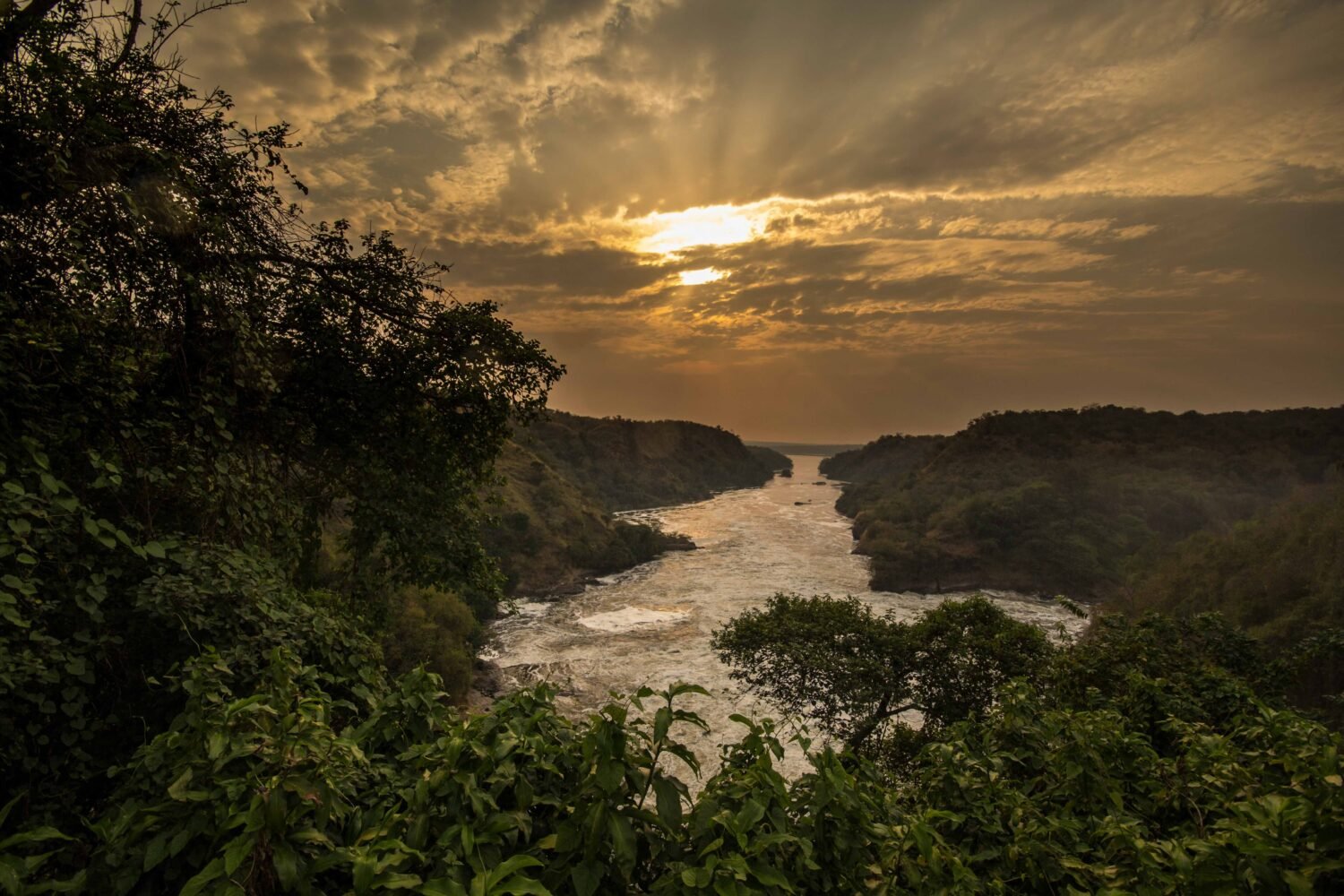 Source of the Nile