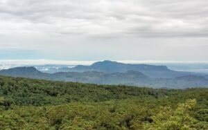 Mount Elgon National Park