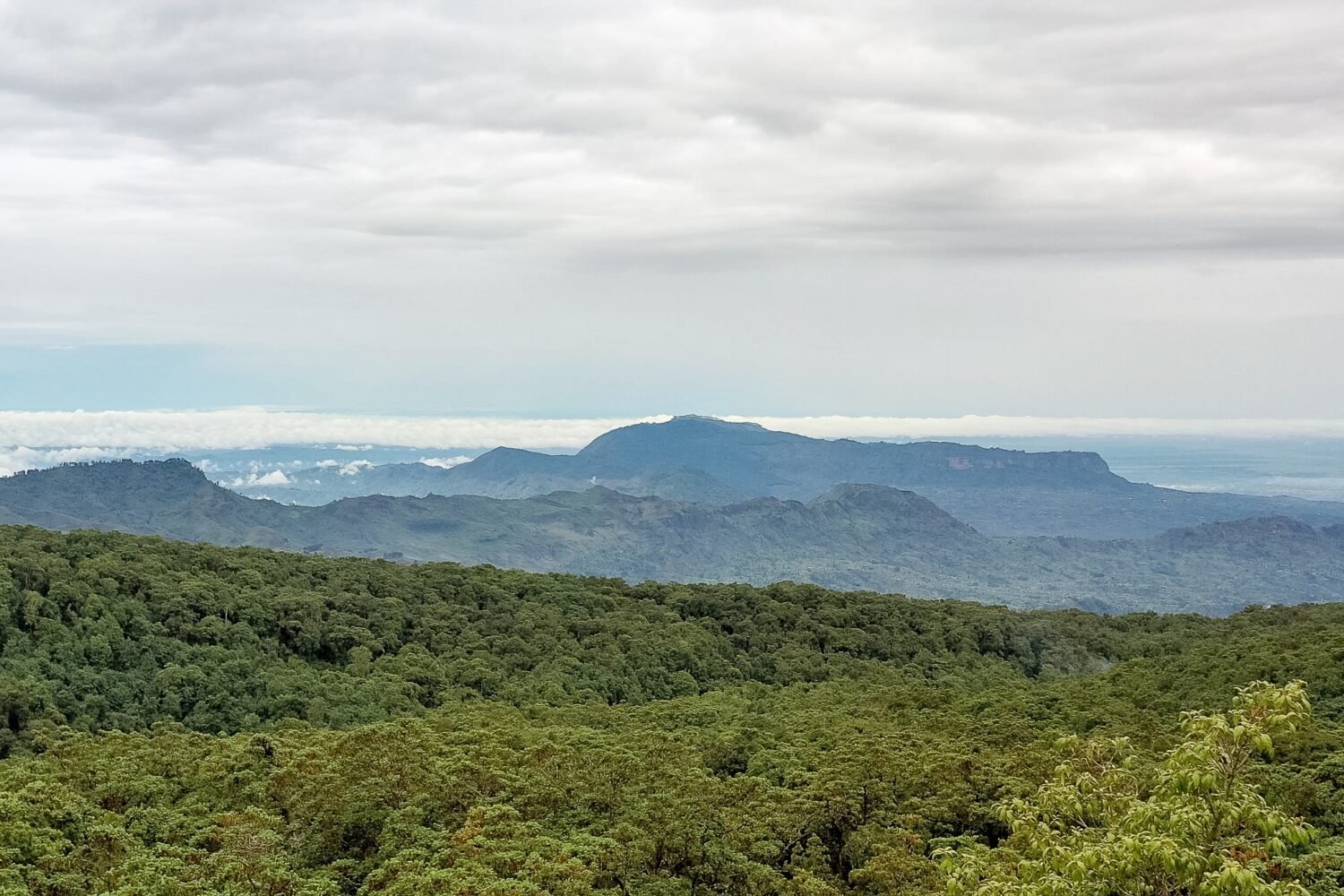 Mount Elgon National Park